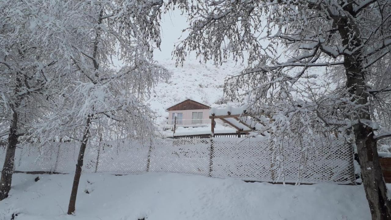 Altos Coirones Potrerillos