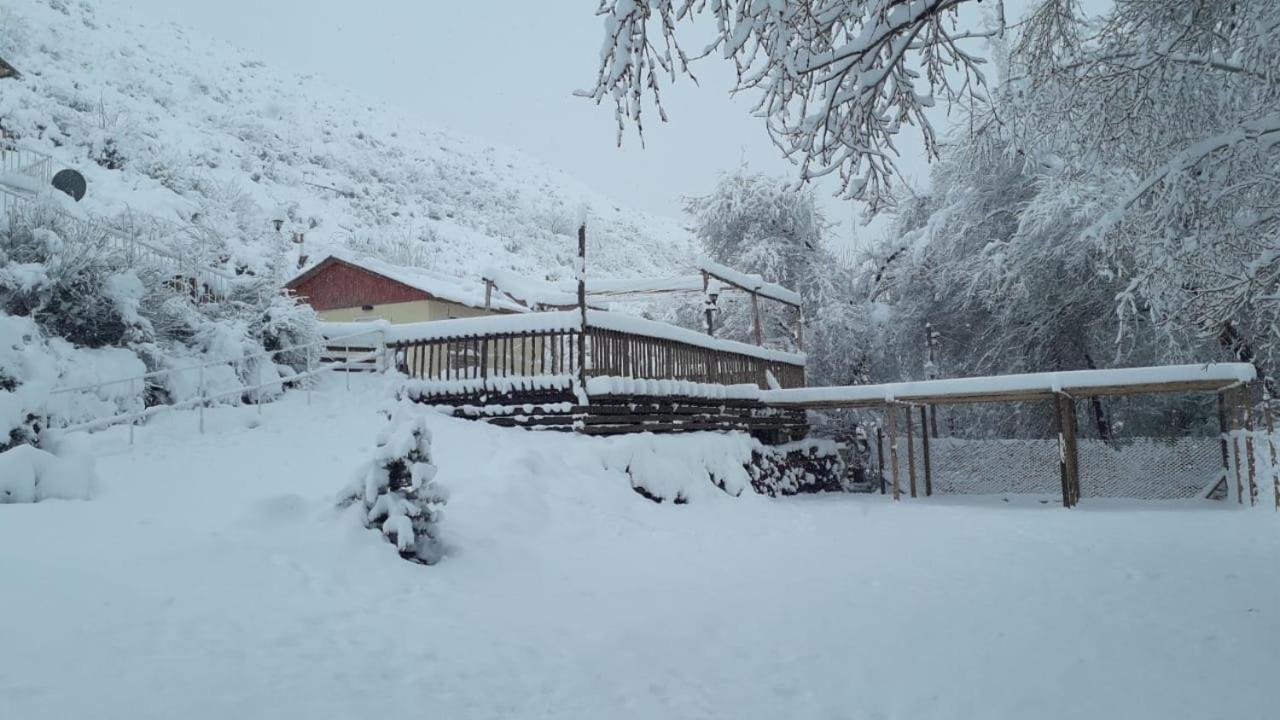 Altos Coirones Holiday home